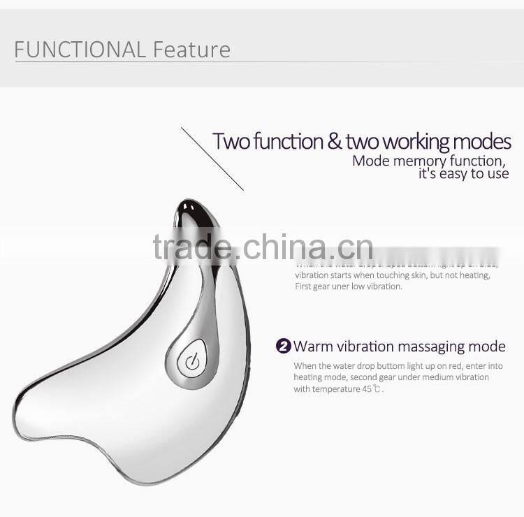Health Care Beauty Product Skin Tightening Handheld Therapy Face Lift Massager Galvanic Wrinkle Removal Facial Device
