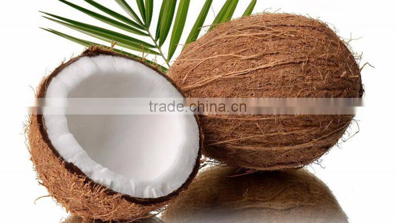 semi husked/best quality coconuts in container