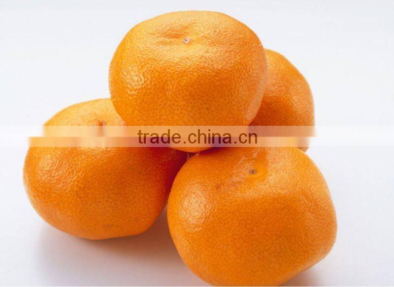 mandarin orange sac for juice