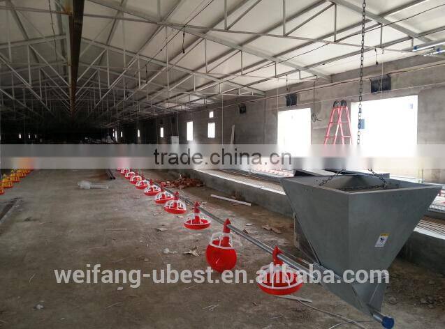 chicken feed pan system for broiler