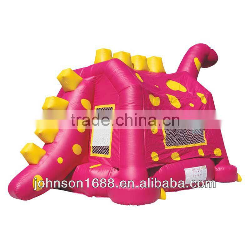 2013 Inflatable playground