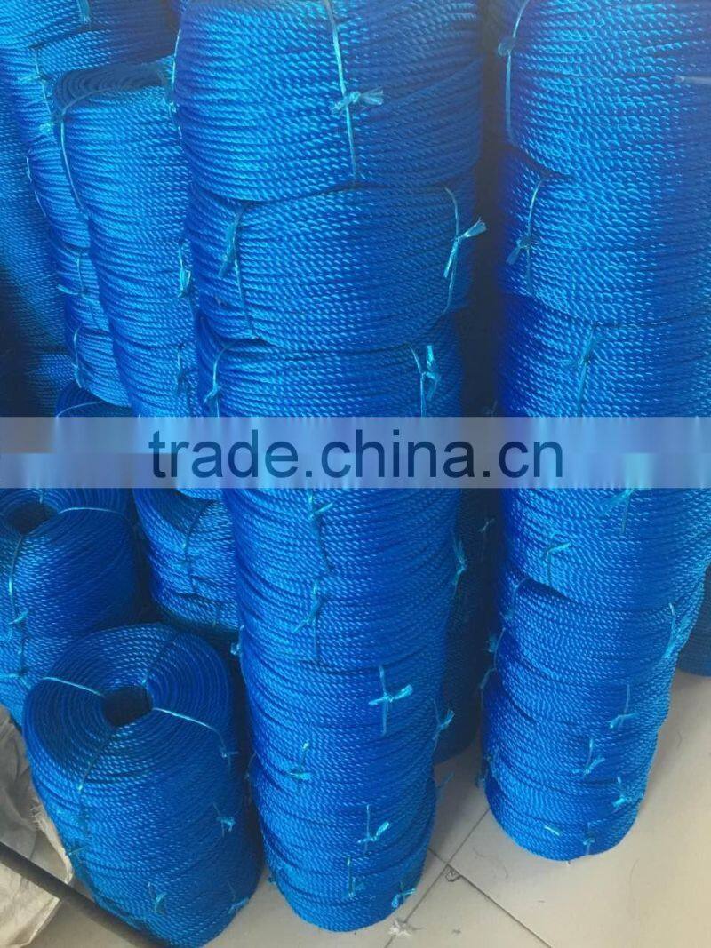 Hot Sale pe tail rope in Indonesia market