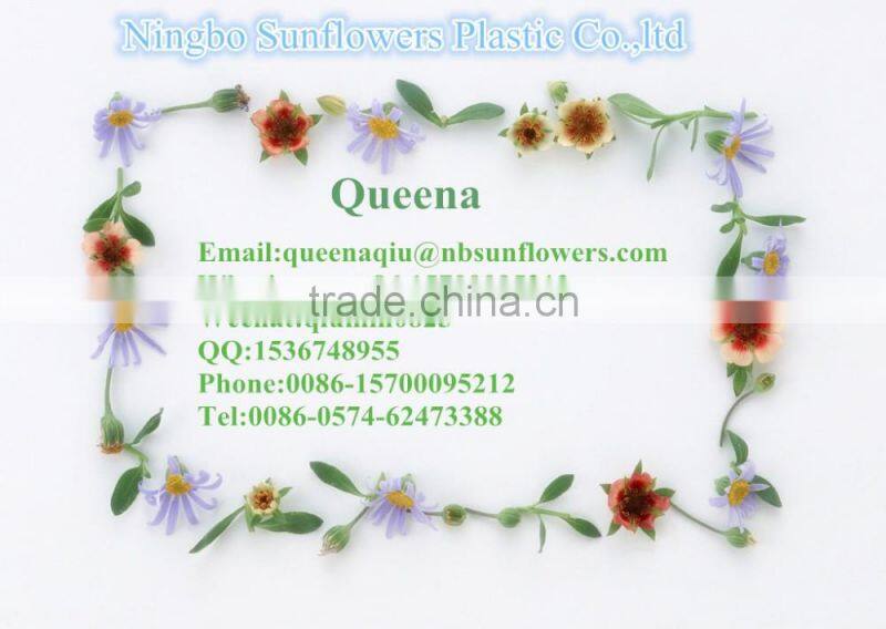 Nail Polish Bottle Multiple Choice