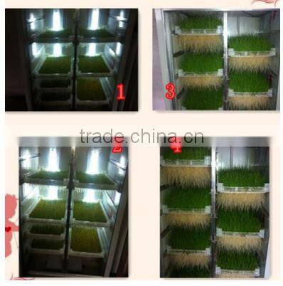 automatidc hydroponic seeds sprout fodder growing machine