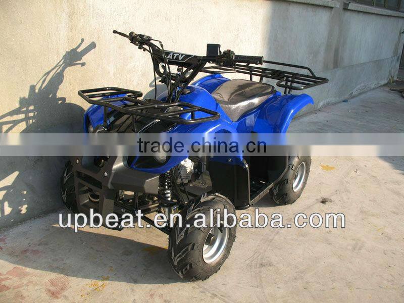 NEW DIRT AUTO QUAD BIKE ATV BUGGY 110cc PEEWEE CYCLONE