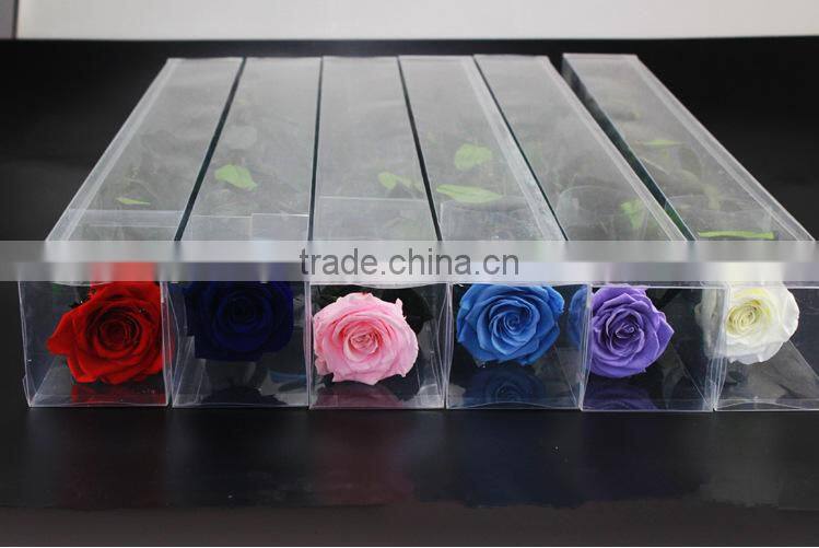 Wholesale Natural Multi Colors Long Time Saving Preserved Fresh Flower Rose With Long Stem