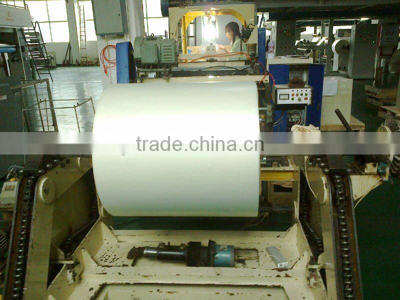 Blank Polyester Film Roll