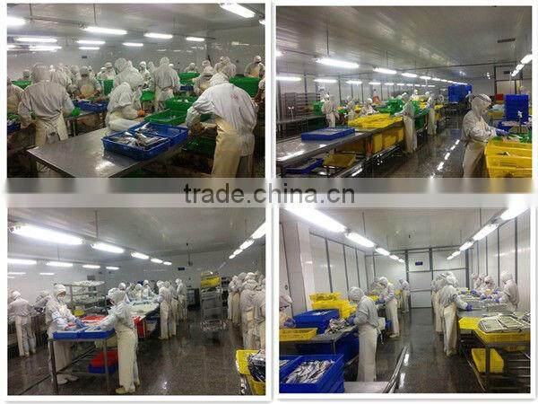 Frozen Mackerel steak