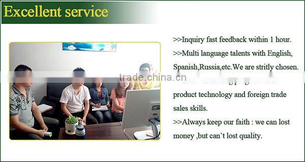 Lisaurus-I amusement park indoor amusement park rides