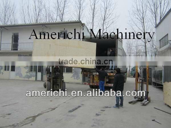 China fish food machine