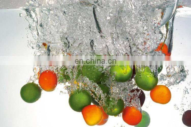 Machinery for cleaning mushroom black pepper cherry cleaning pineapple bubble washer machine