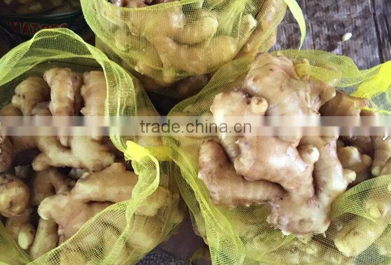 new crops Chinese fresh ginger from professional factory