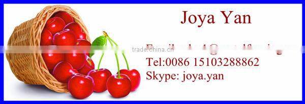 Hot recycle collapsible stillage cages galvanized metal wire mesh storage bins factory warehouse used storage cages with wheels