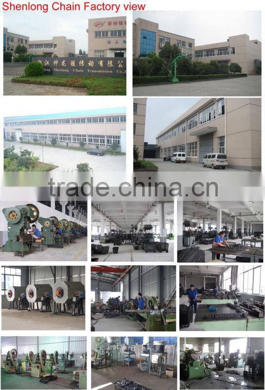 GDR HD agricultural conveyor feeder chain CA413- with K220/K221 attachments both side