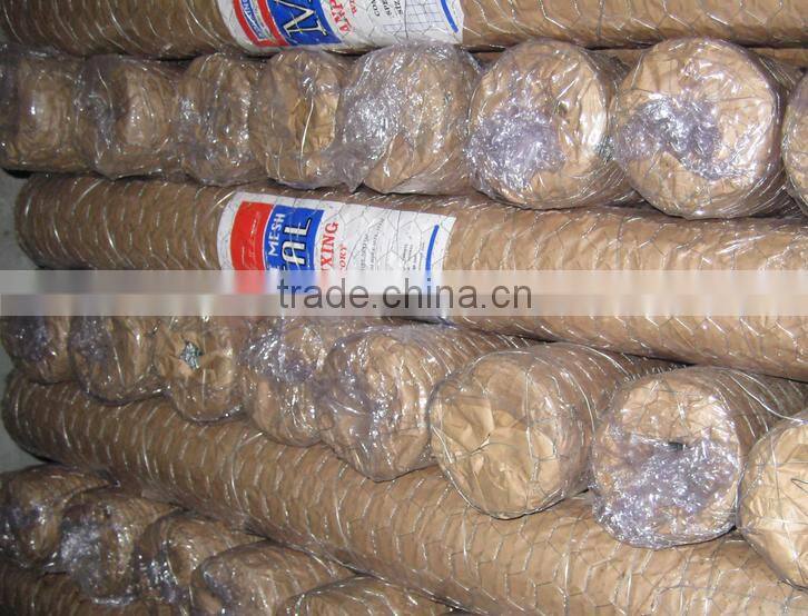 hot dip galvanizing gabion mesh,Hexagonal wire mesh