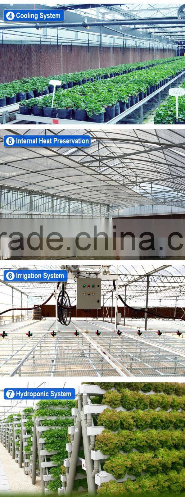 Polycarbonate Sheet Green house