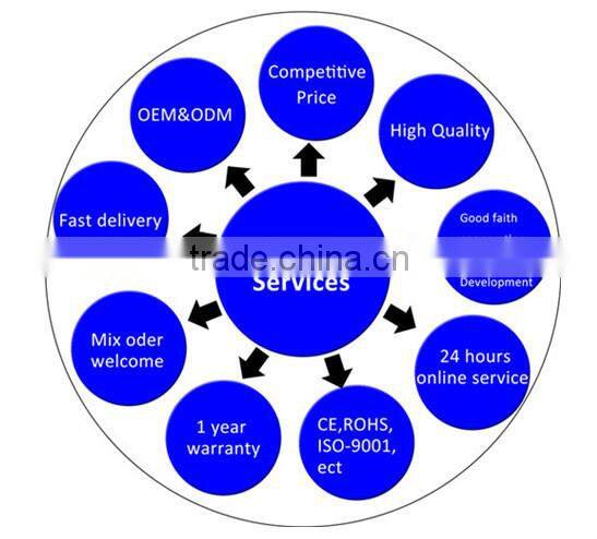 Super Bright E-Mmark LED license plate light led registration plate lamp led number license light for BMW F10/F18/F25