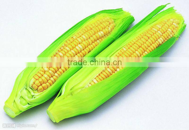 corn threshing machine YT-30 with competitive price