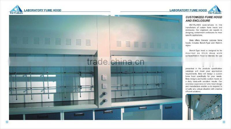 Commercial Ventilation System Exhaust Fume Hood Vertical Laminar Flow Cabinet