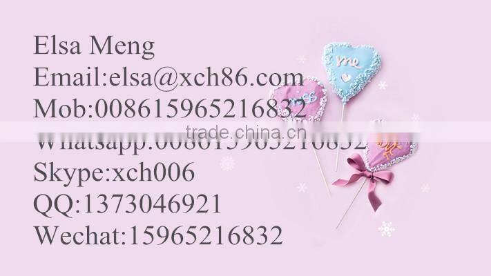 2016 newest design and best factory price Ceramic light