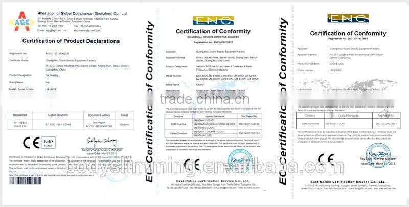 Freeze Fat Beauty Equipment Newest Cryolipolysis