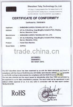 2015 newest Handheld Face Massager Beauty brush