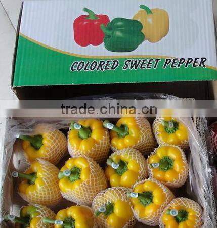 Hot sale sweet pepper/bell pepper/red bell pepper