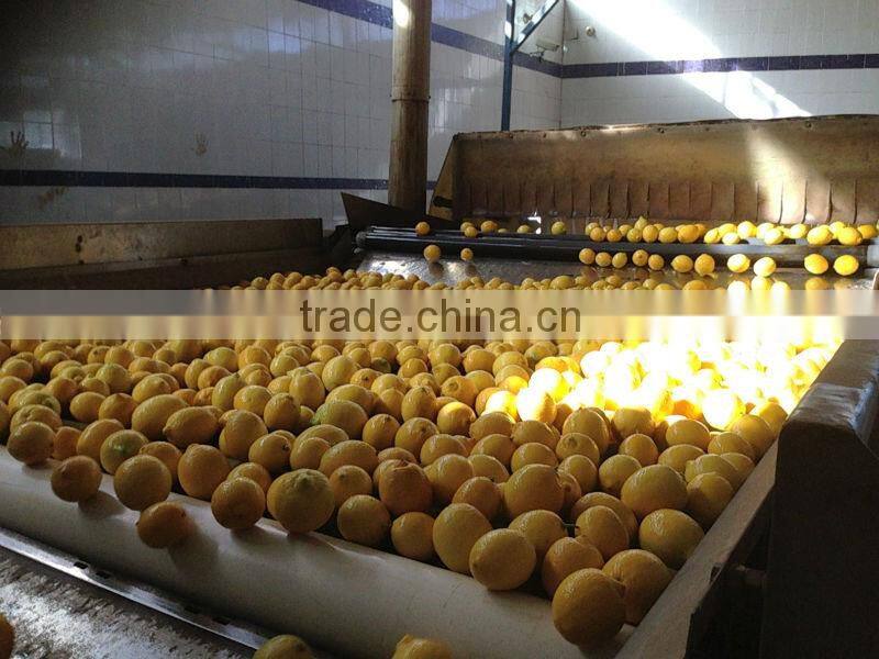 FRESH LEMON ( Adalia - Verna - green lime )