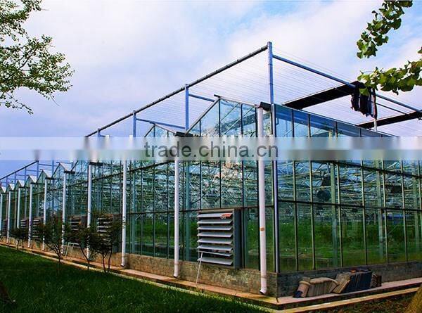 Hot dip galvanized steel structure of glass greenhouse