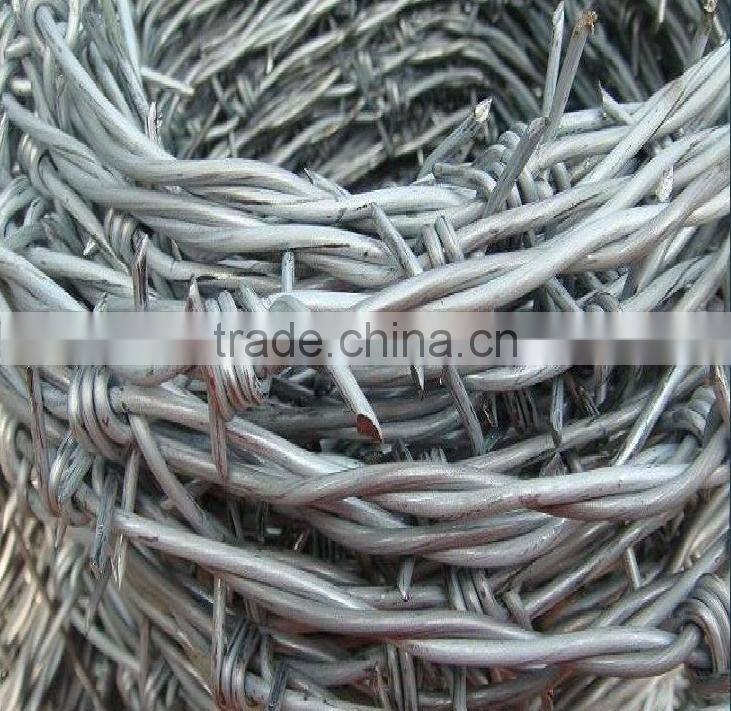 Double Twisted Barbed Wire (factory)