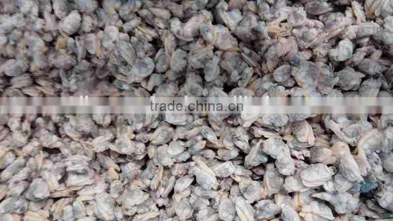 Frozen Cooked short necked clam meat produced in China