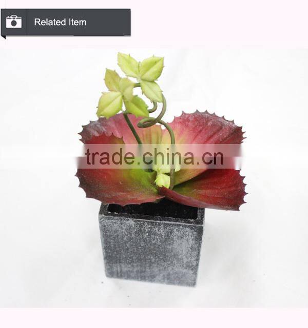 Cheap wholesale artificial succulent plants tropical plants