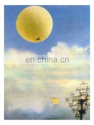 GZZ11 Digital radiosonde with cost effectiveness