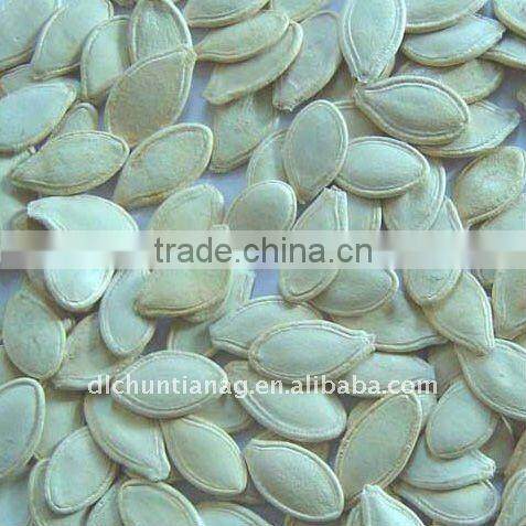 Pumpkin seed