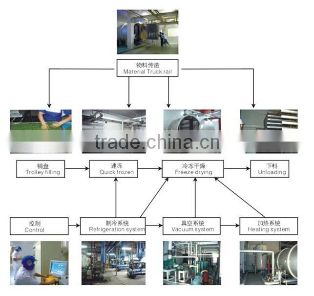 freeze drying with good drying capacity