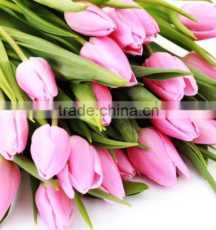 Quality hot-sale decoration tulips