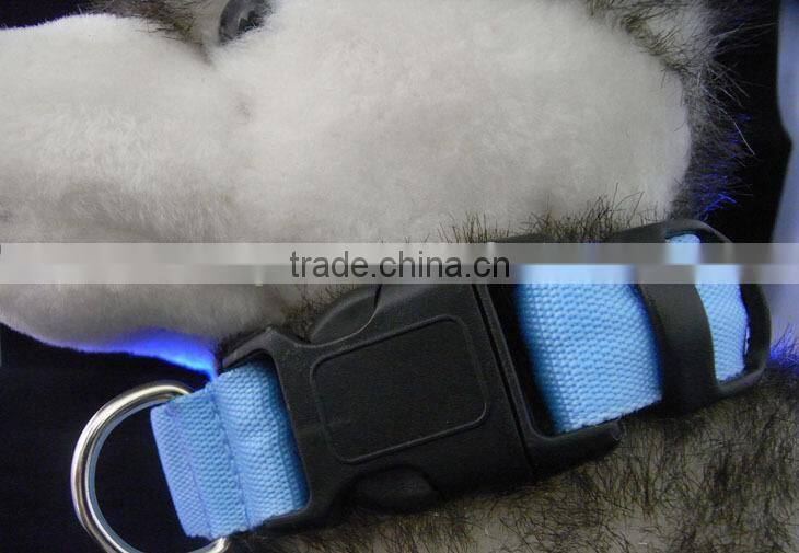 Pure Color Double Side Exposure Flat Optical Fibre Led Pet Dog Collar