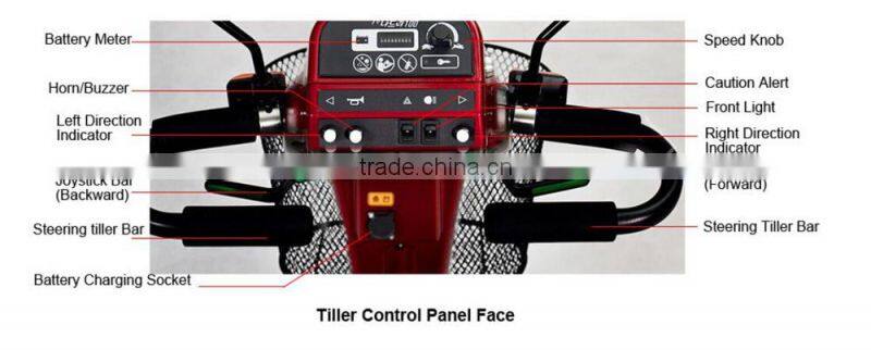 rehabilitation therapy vehicle electric mobility scooter