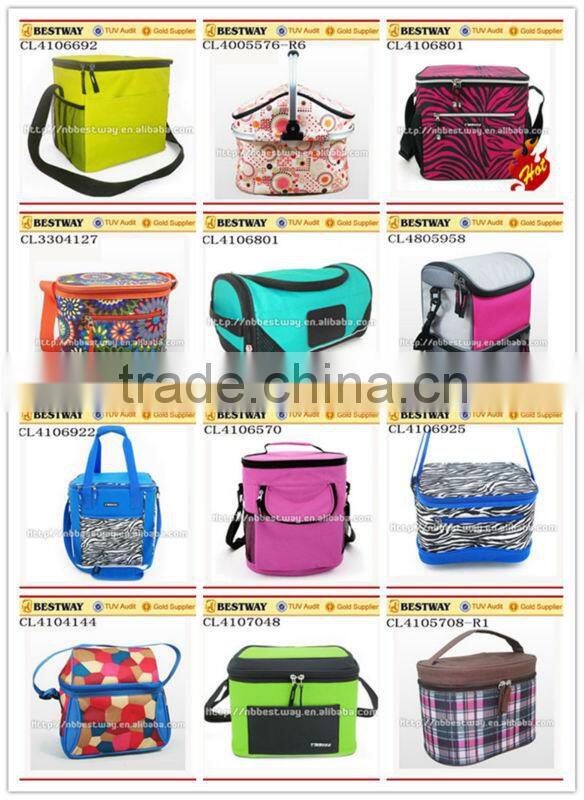 School bag and lunch bag set, Lunch cooler bag with drink holder