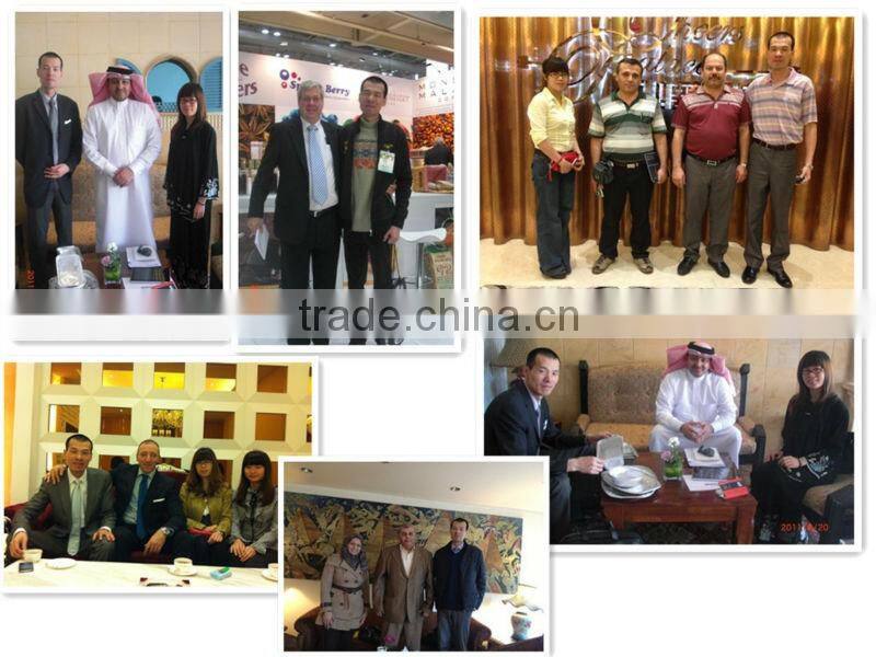 New Aluminium Foil Embosser ( we can design any decoration)