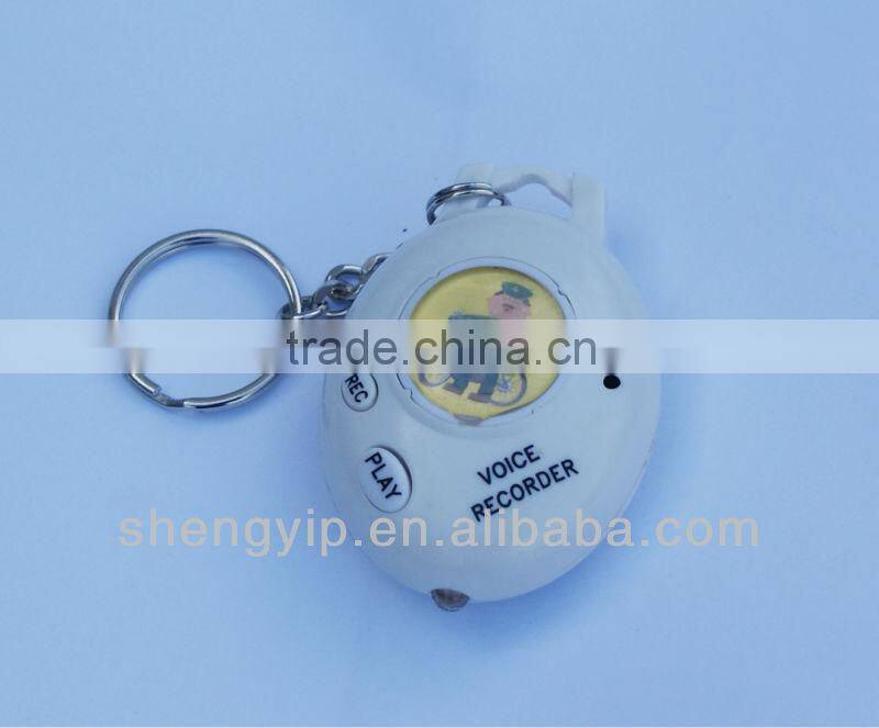 Recordable sound keychain with custom pictures