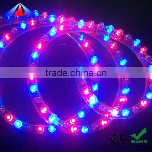 Blue color IP 65 waterproof DIP LED Strip 5MM