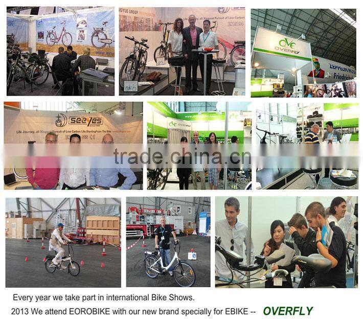 electric bicycle pedal assistance