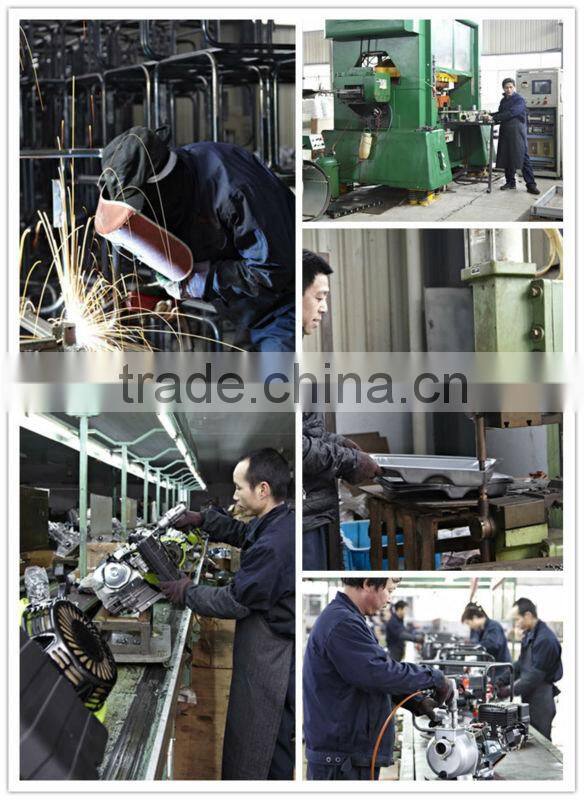 2014 new portable 5 kW LPG Generator (WH6500-X/LPG)