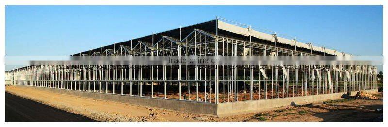Large Span Glass Multi-span Greenhouse