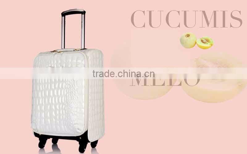 PVC Luggage Light Trolley Case Beautiful Suitcase Luggage