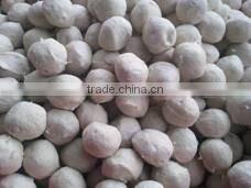 Widely used quenelle producing equipment