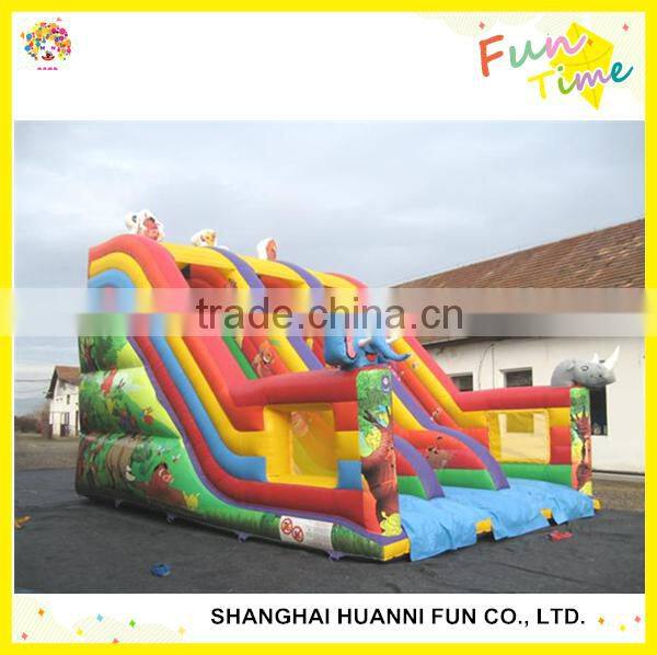 Inflatable Bouncer Slide: Dry Bouncy Slide and Wet Water Slide
