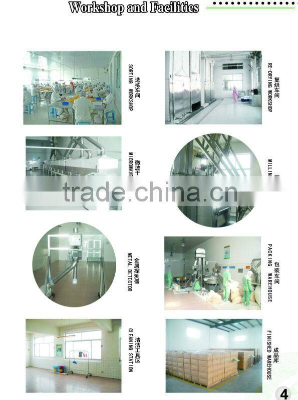 Onion diced,toasted (5*5mm)