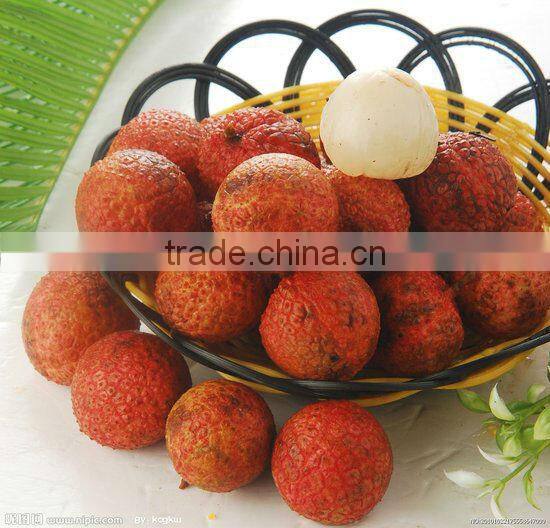 Canned Lychee in syrup